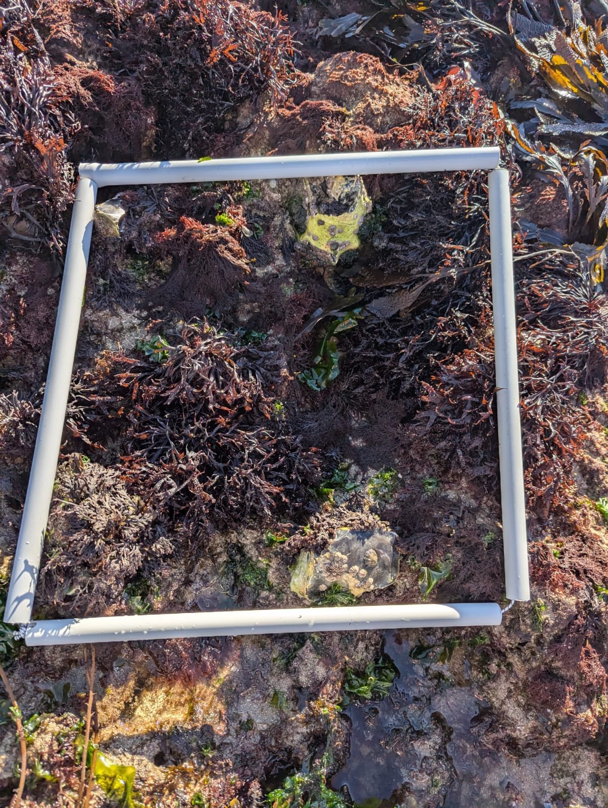IMG-20250811-WA0009