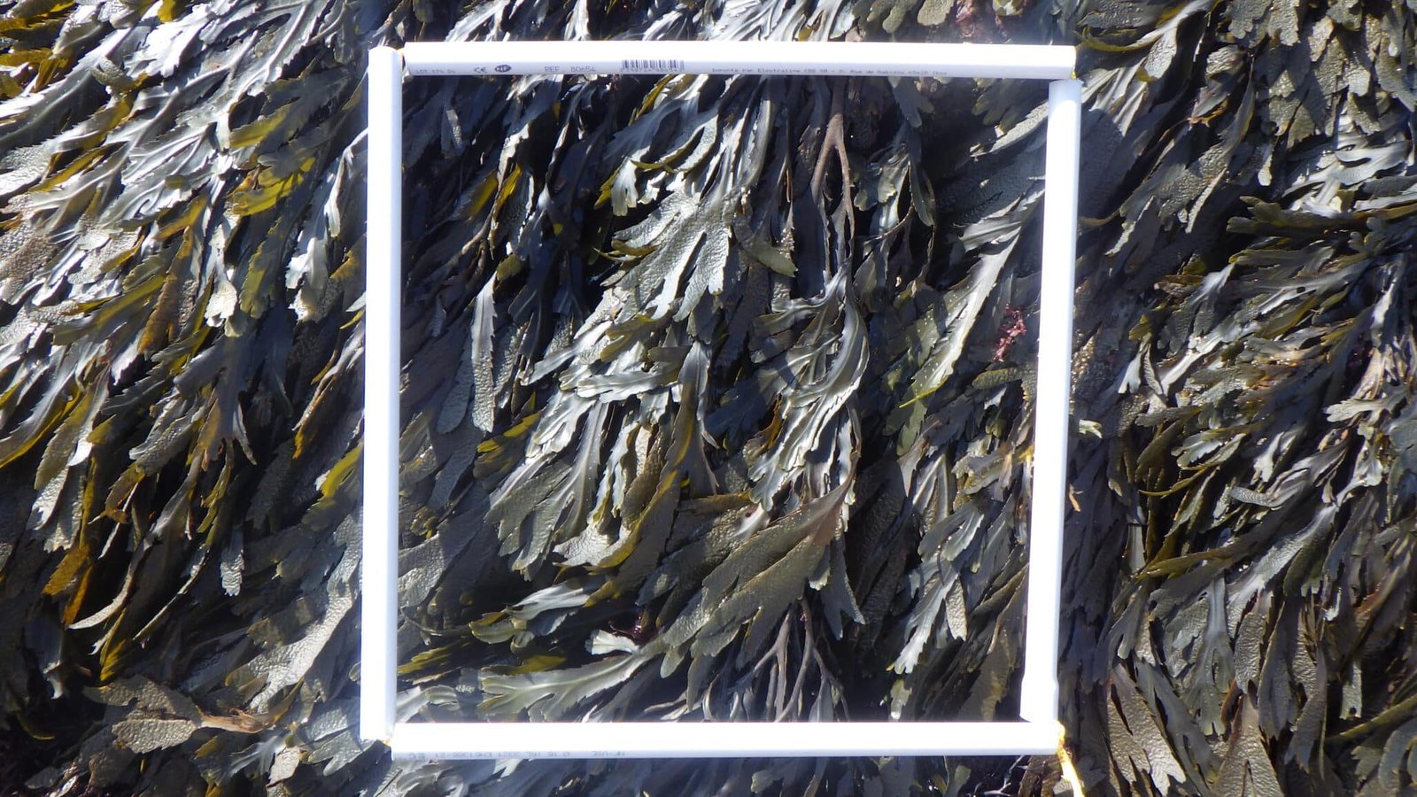 RIMG0147