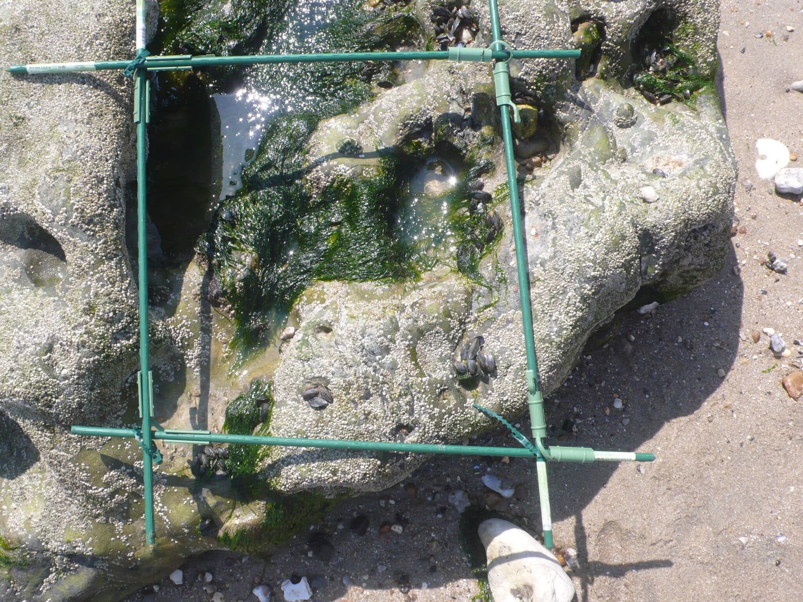 P1110195
