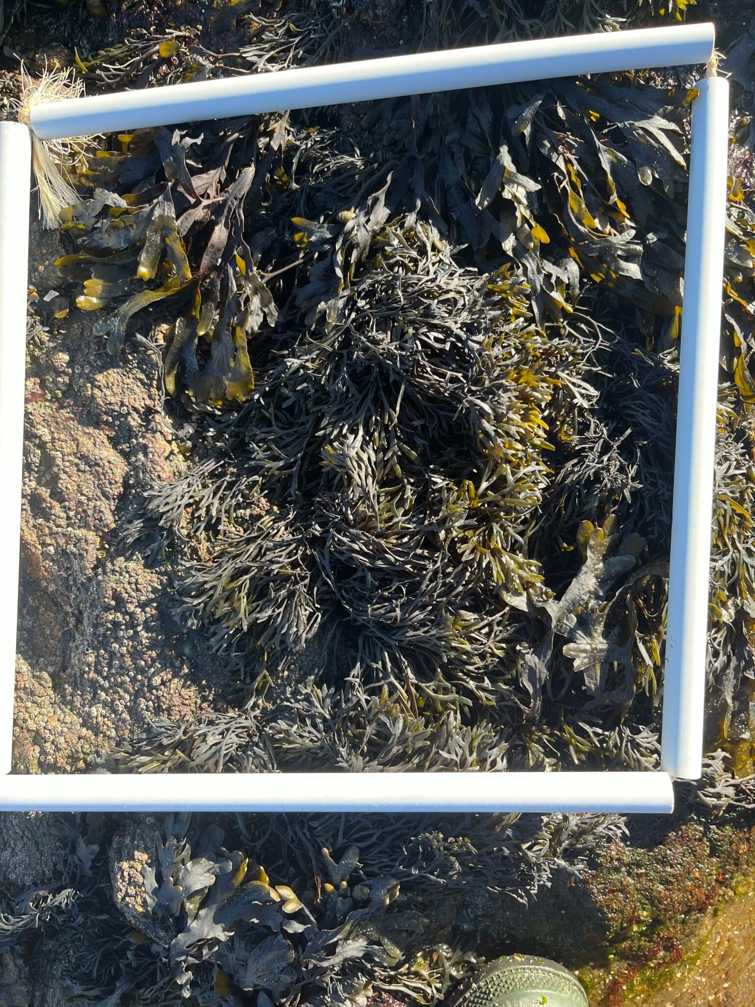 Image-7