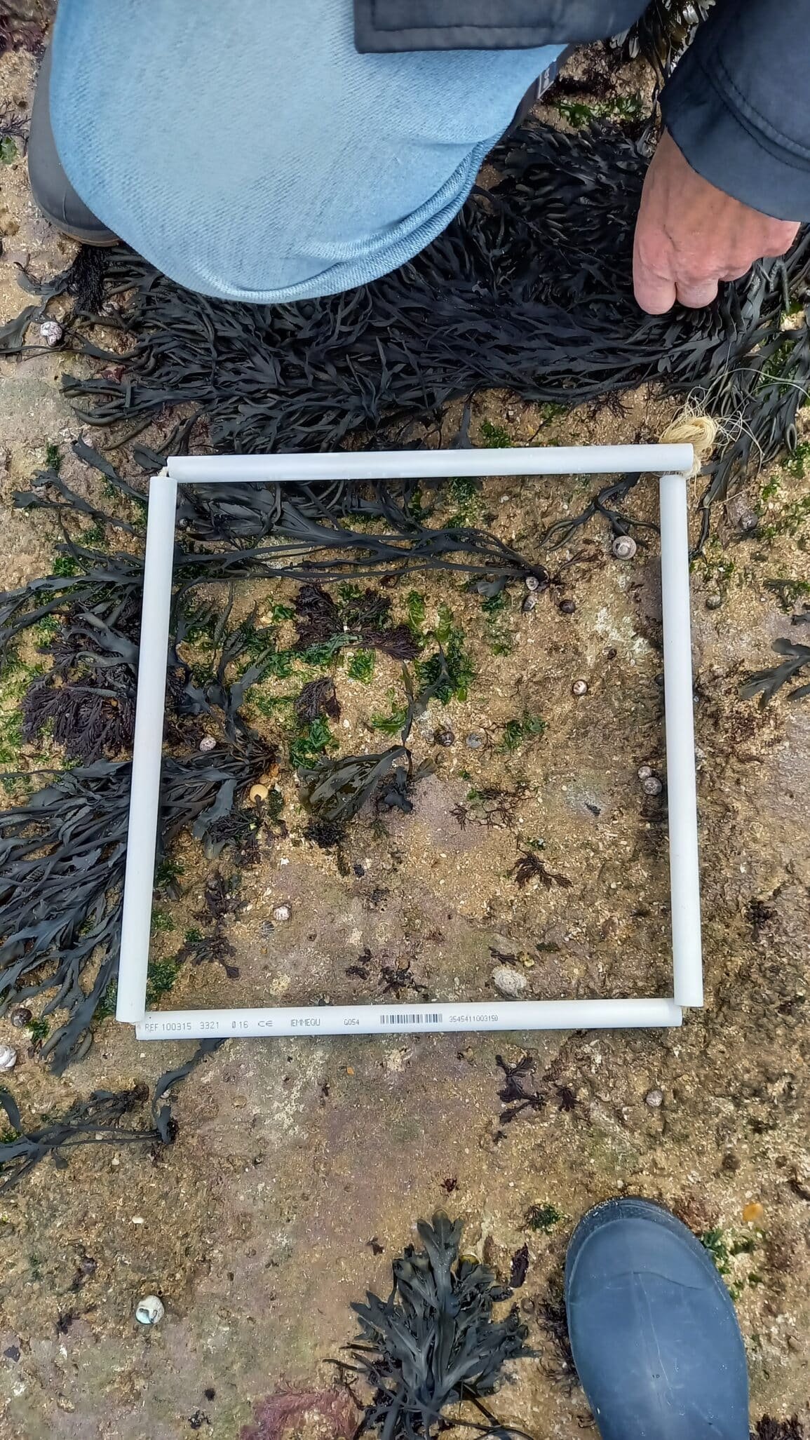 zone1quadrat2