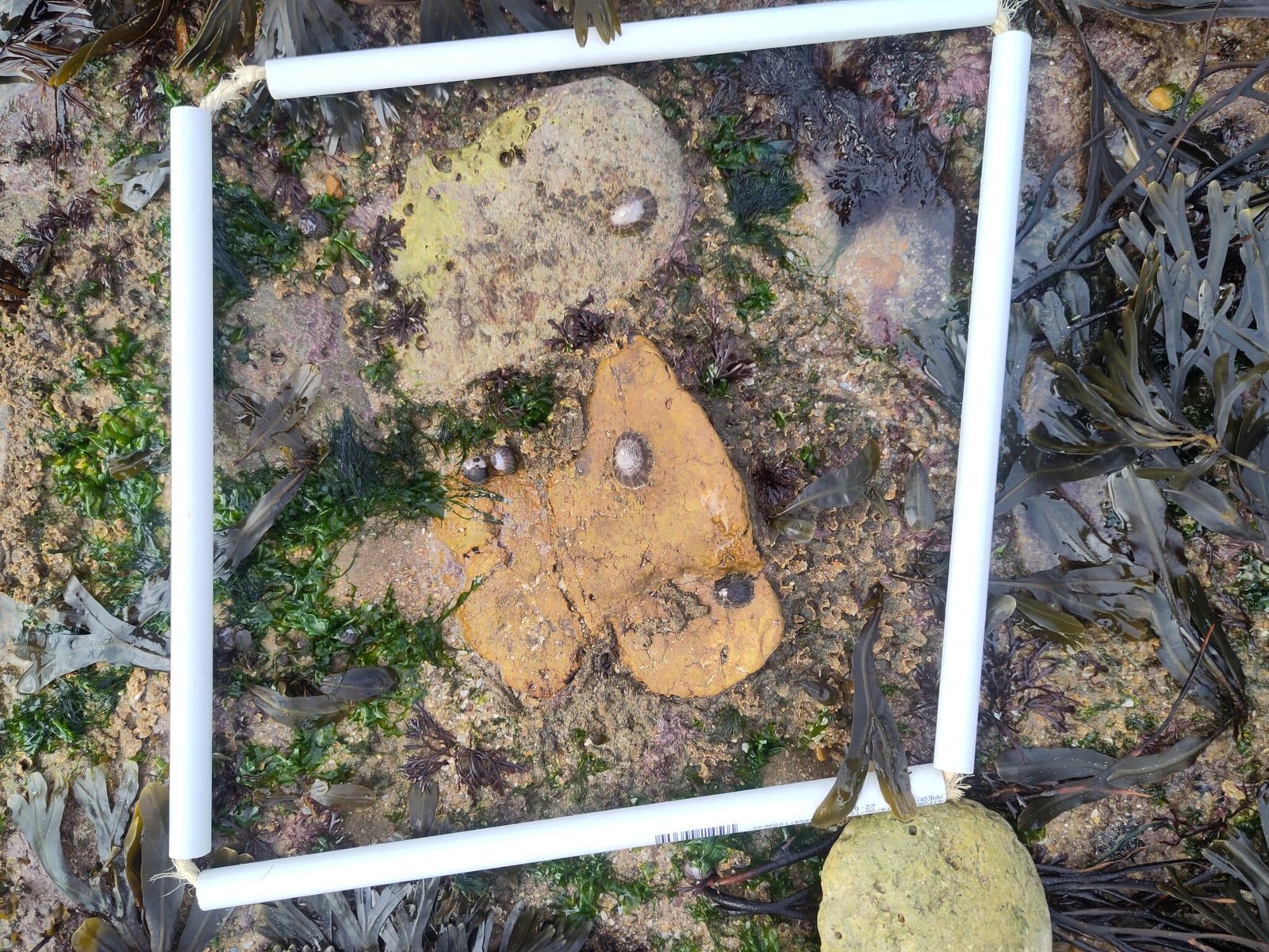 IMG_20251120_110049-1