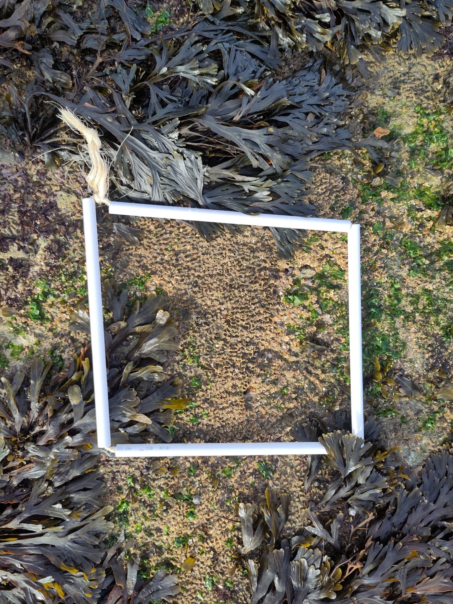 IMG_20251120_115103-1