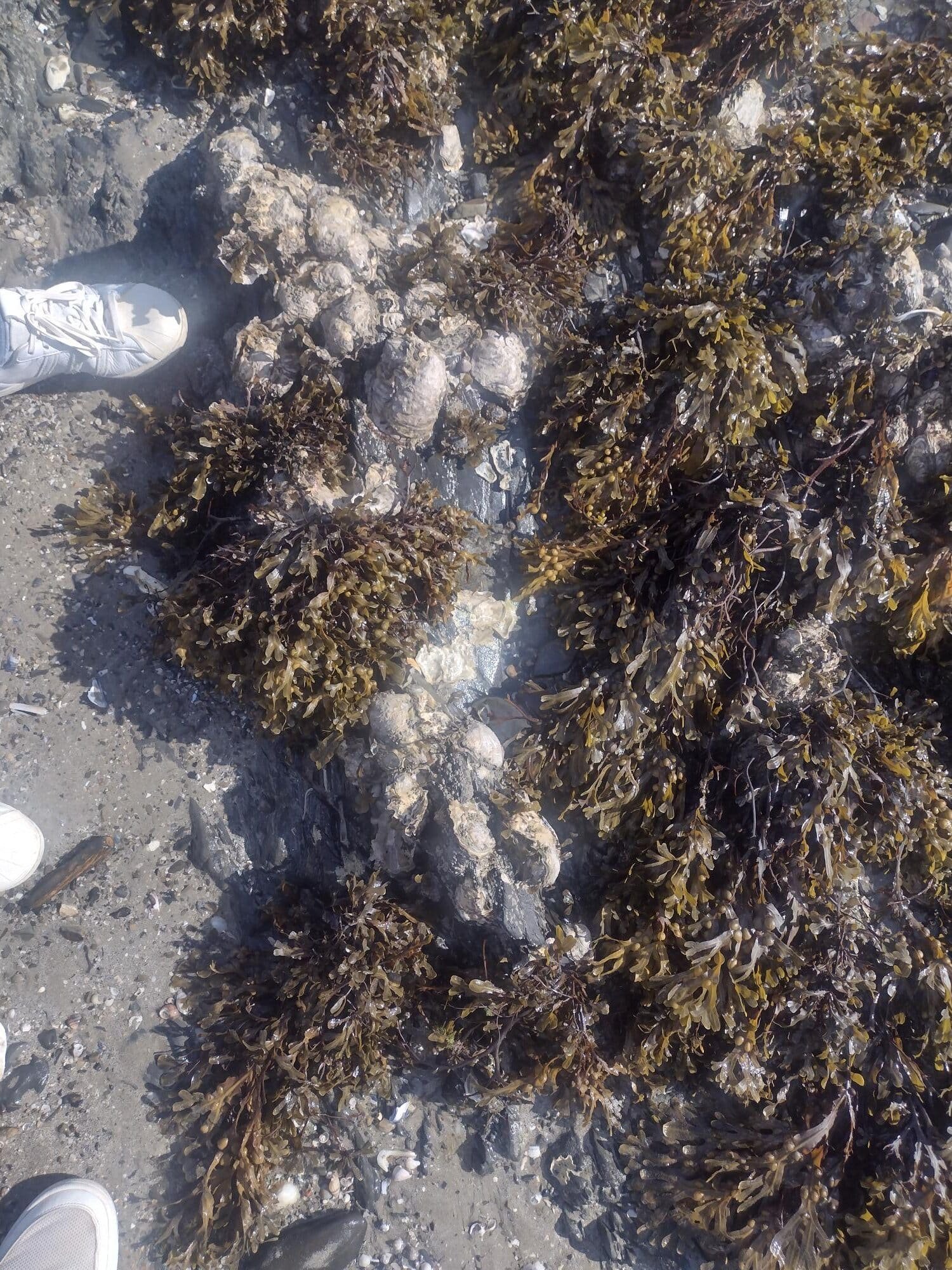 IMG_20250929_152505978_HDR
