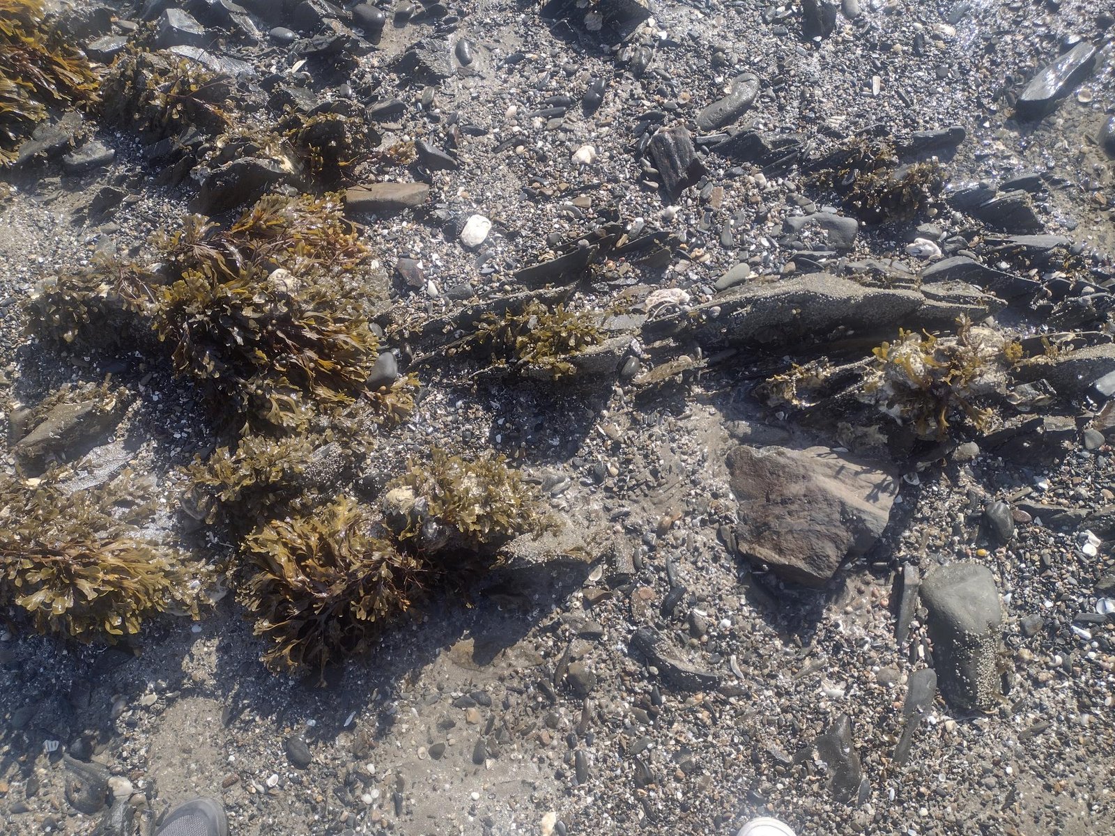 IMG_20250929_153638861_HDR-2