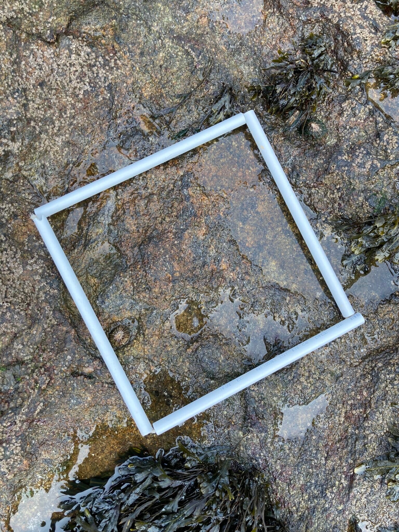 Q1