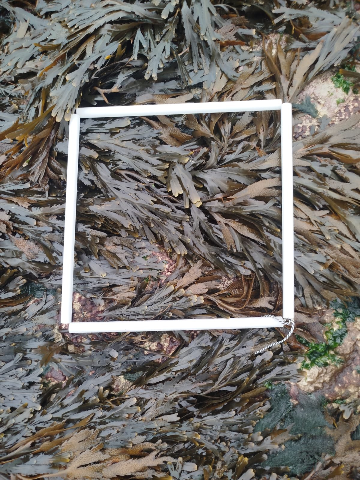 IMG-20251019-WA0008