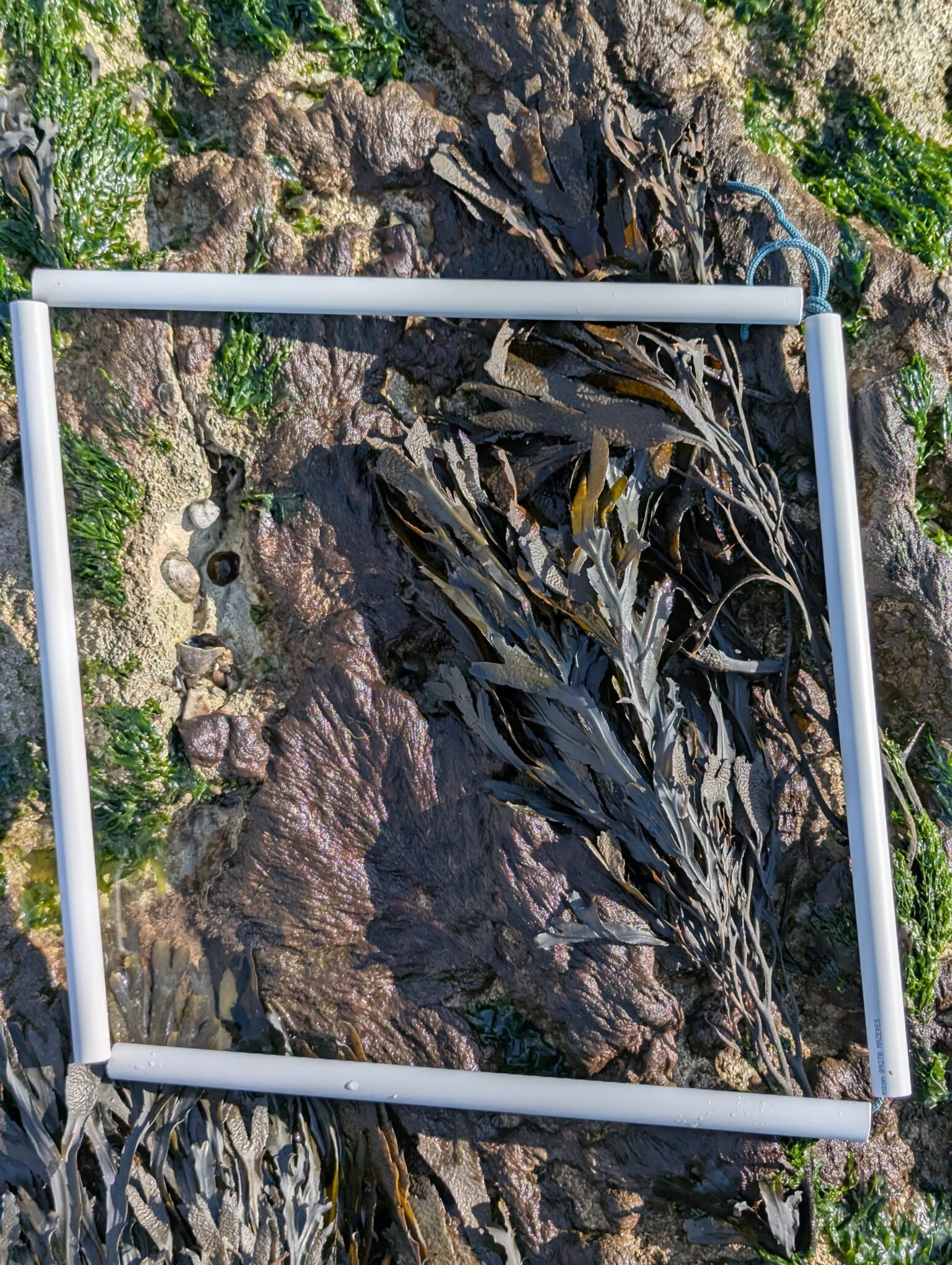 1.1-PXL_20250919_143942861