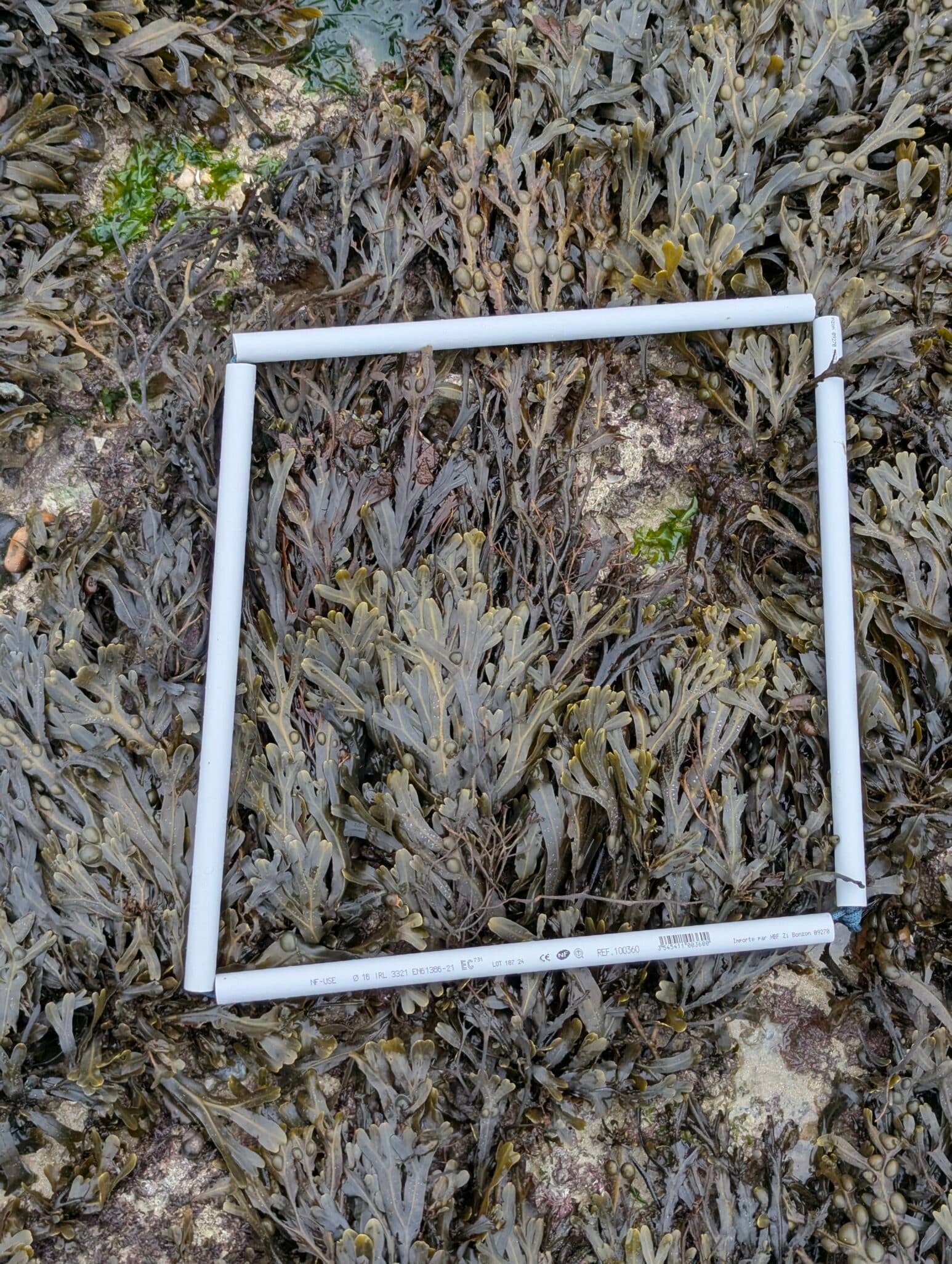 4.1-PXL_20250820_135341355