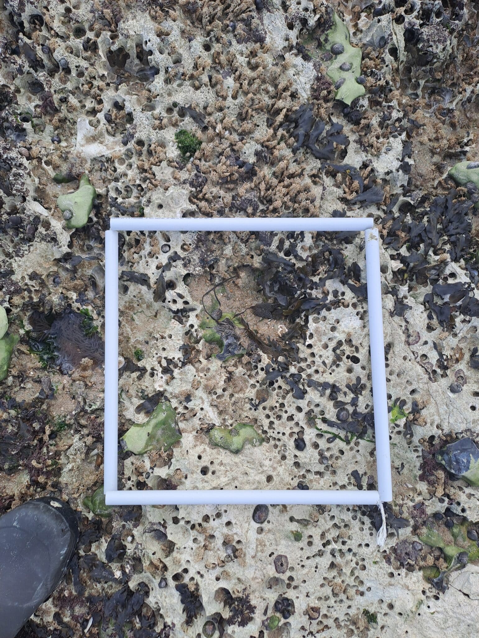 20250828_112729
